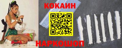 шишки Кимры