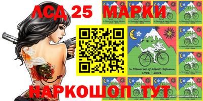 стаф Кинель