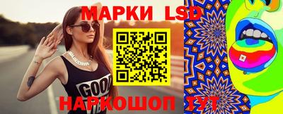 гидропоника Кингисепп