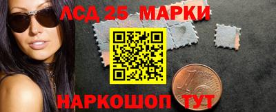 шишки Кимры