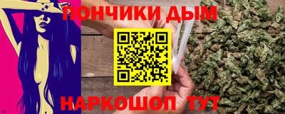 шишки Кимры