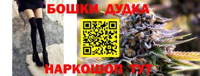 гидропоника Кингисепп