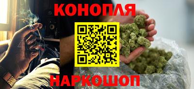 шишки Кимры