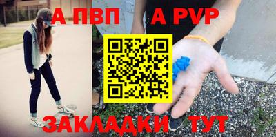 шишки Кимры