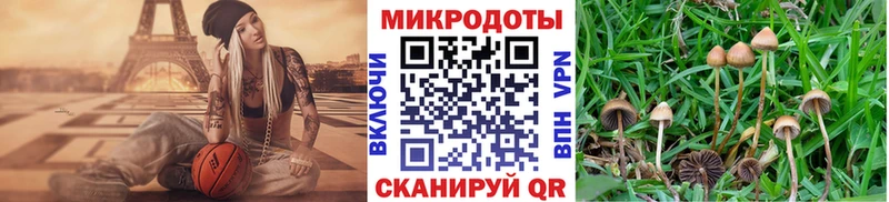 продажа наркотиков  Сорочинск  Псилоцибиновые грибы MAGIC MUSHROOMS 