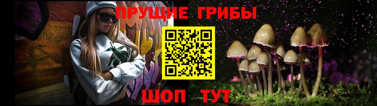 Галлюциногенные грибы Psilocybe Сорочинск